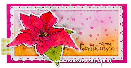 TC0902 Marianne Design - Clearstamps and dies - Tiny&#039;s Flowers - Poinsettia