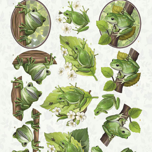 CD11620 3D cutting sheet - Amy Design - Friendly Frogs - Tree Frogs