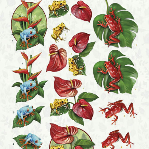 CD11621 3D cutting sheet - Amy Design - Friendly Frogs - Poison Frogs