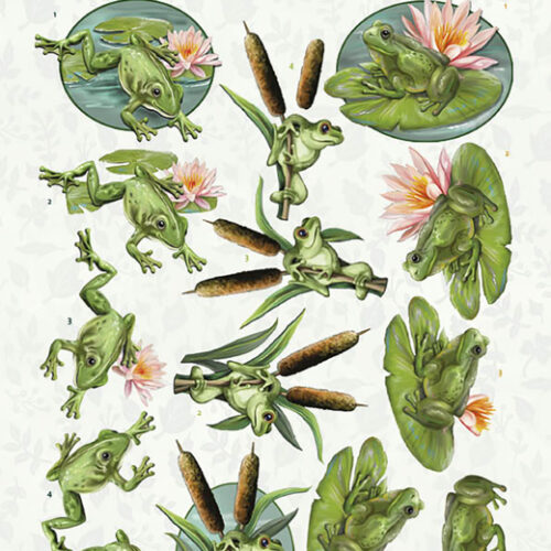 CD11622 3D cutting sheet - Amy Design - Friendly Frogs - Pond Frogs