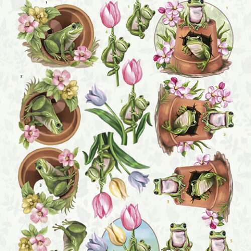 CD11623 3D cutting sheet - Amy Design - Friendly Frogs - Flower Frogs