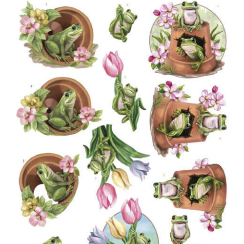 Uitdrukvel kikkers met bloemen