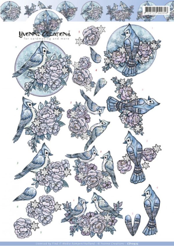 Knipvel wintervogels