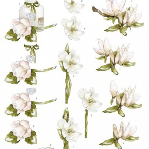 Knipvel Precious Marieke Condolence zachtroze