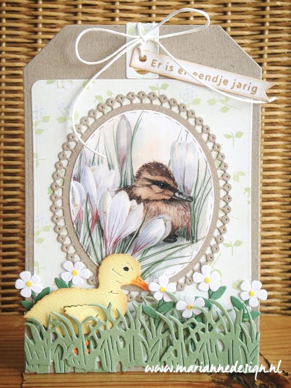 Knipvel Mattie's Mooiste Pigeons