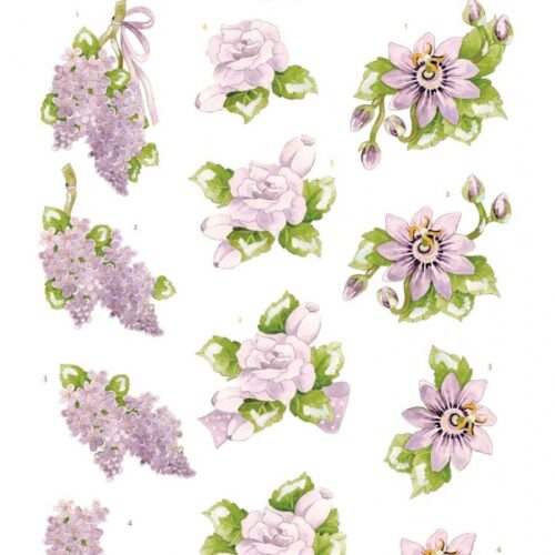 Uitdrukvel Purple Blossom